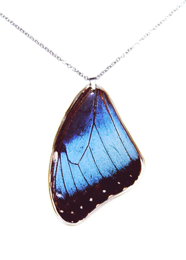Přívěsek z křídla motýla Morpho peleides No.1285