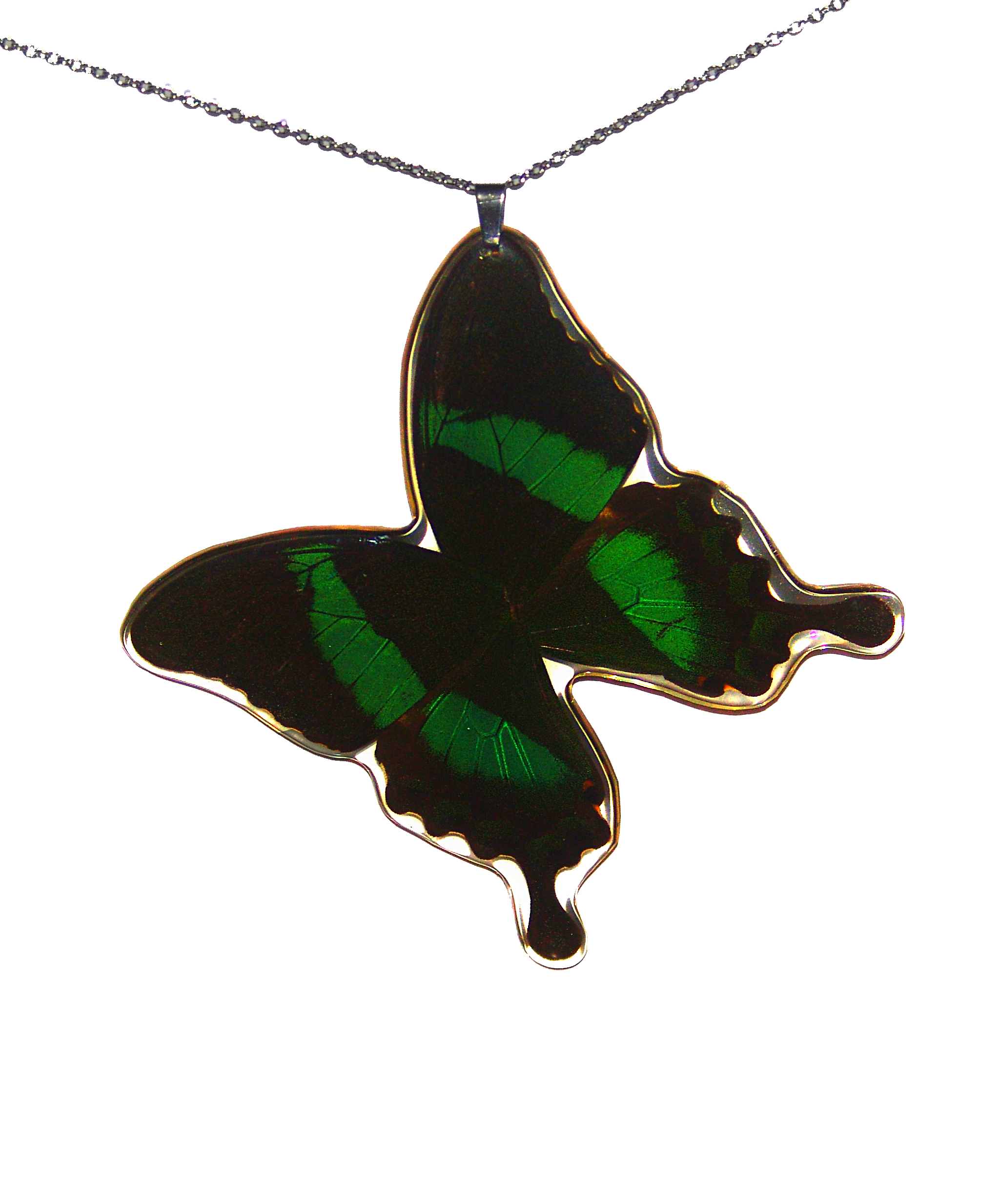 Náhrdelník z motýla Papilio palinurus No. 1542
