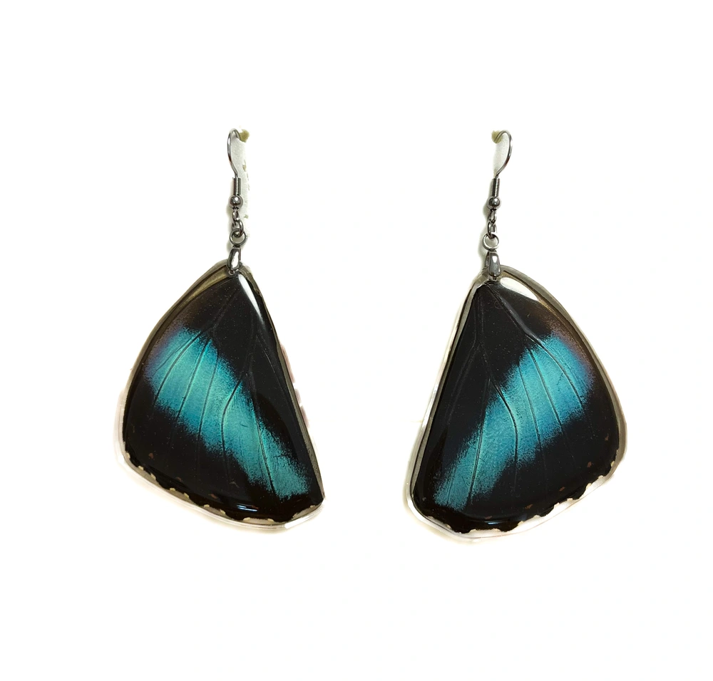 Náušnice z křídla motýla Morpho helenor. No. 1401