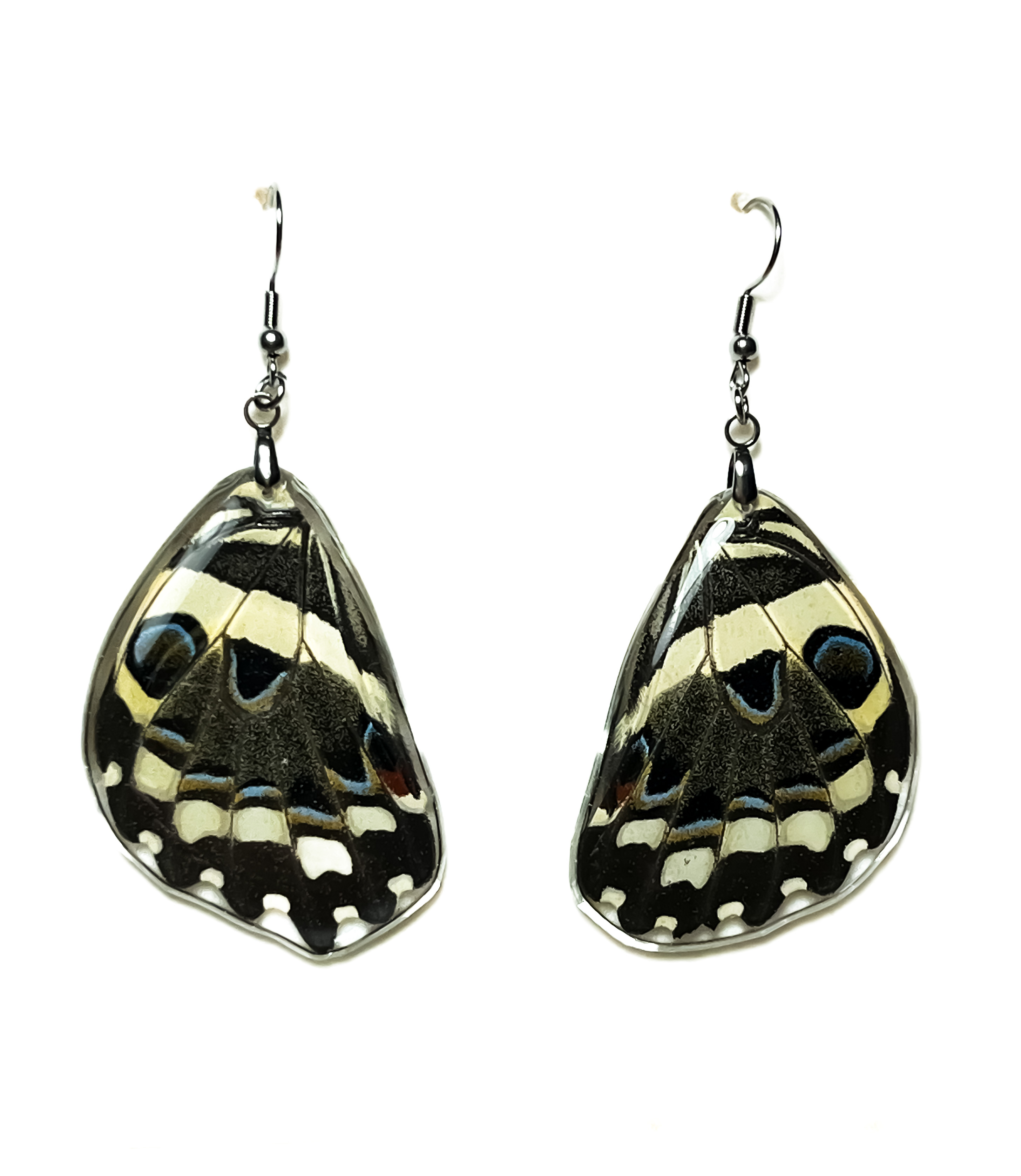 Náušnice z křídla motýla Papilio demoleus. No. 1491
