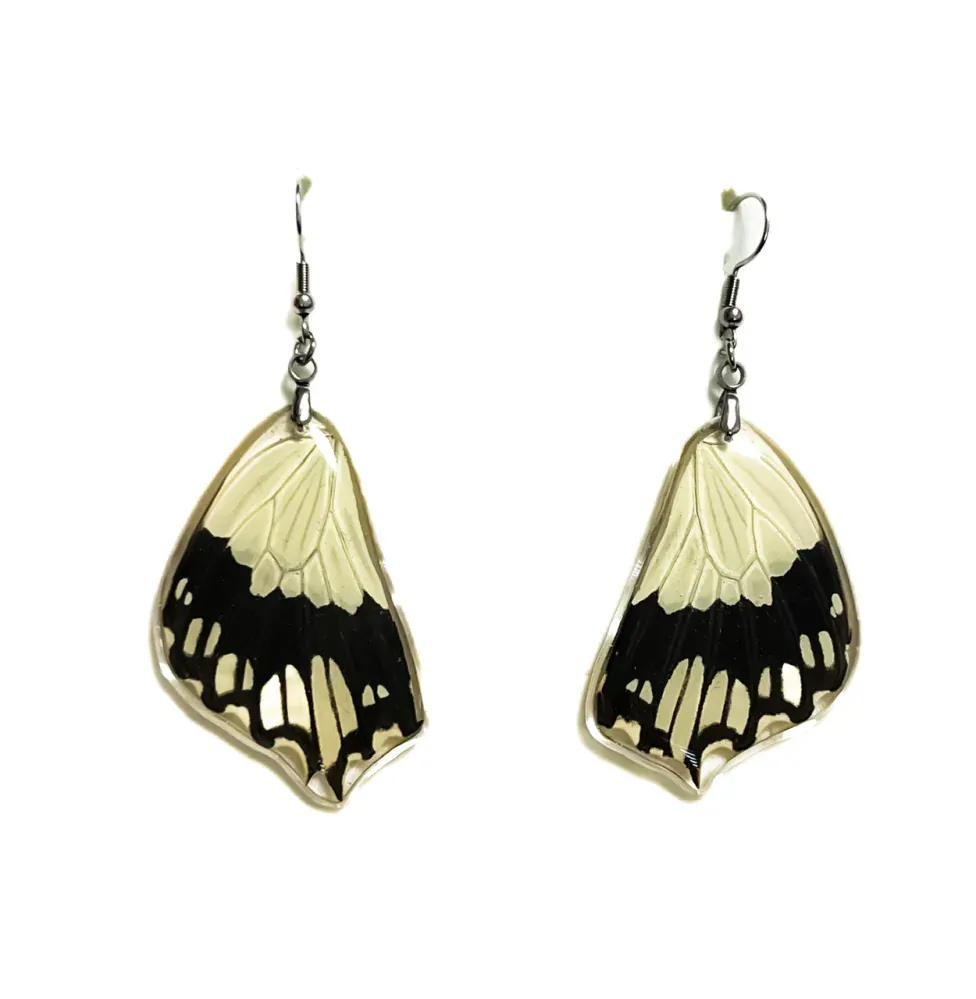 Náušnice z křídla motýla Papilio dardanus No. 2006