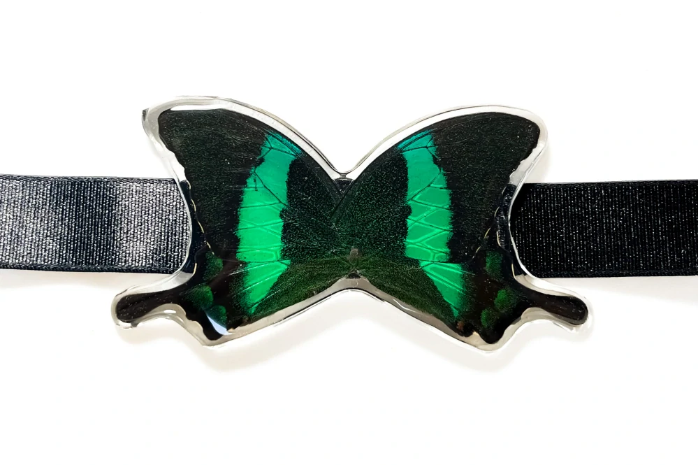 Motýlek na krk Papilio palinurus - pánský No. 1915
