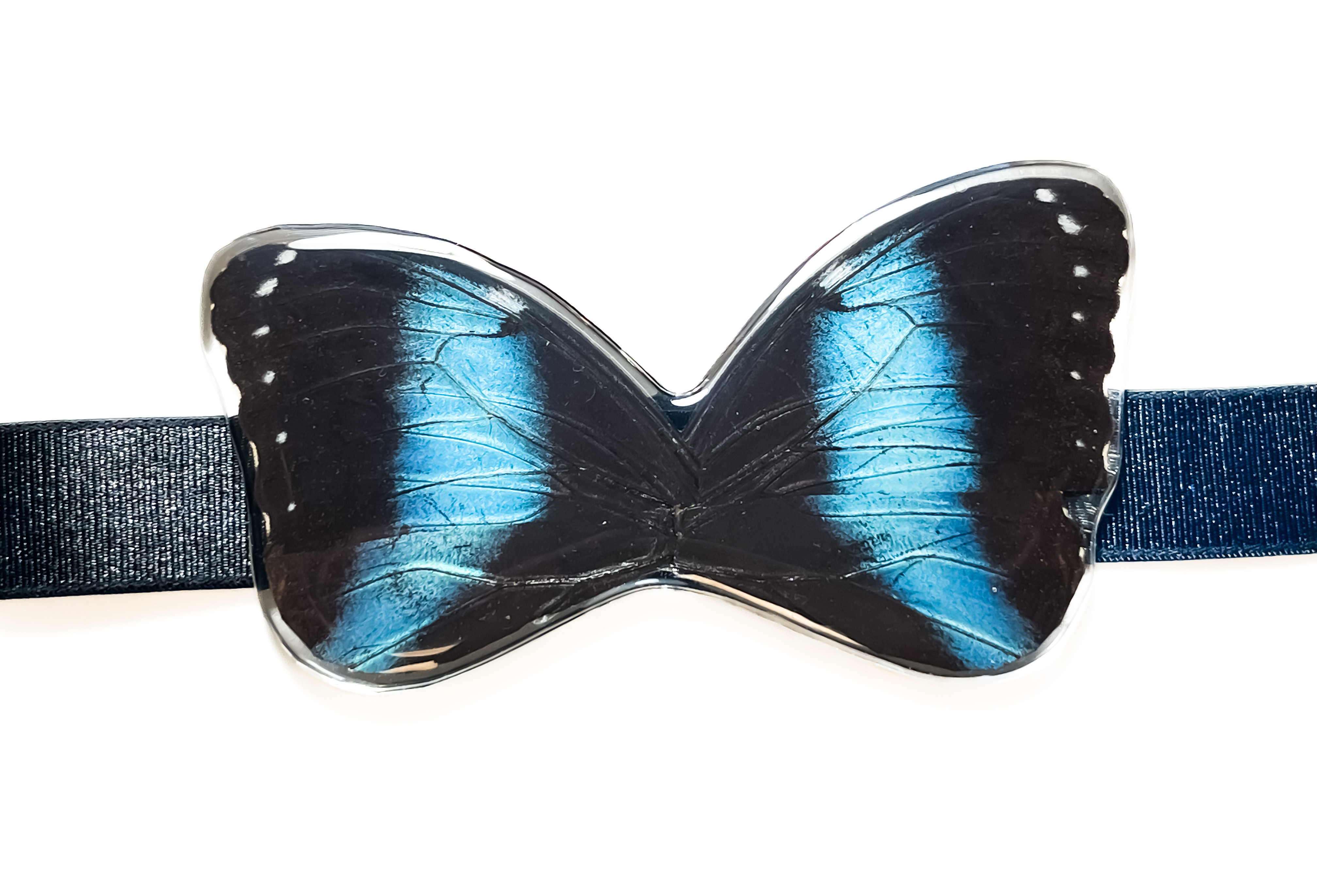 Motýlek na krk Morpho helenor - pánský No. 1923