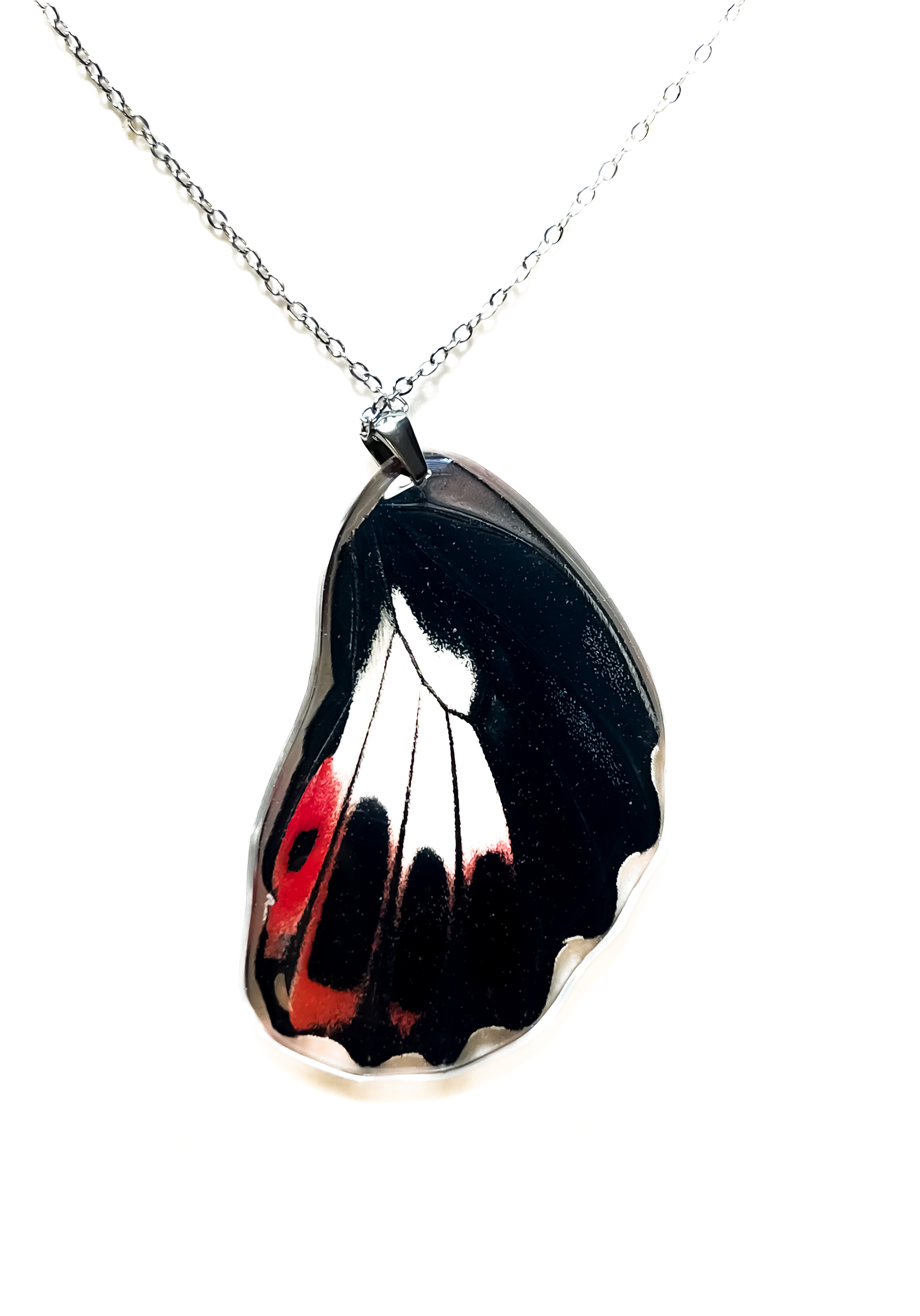 Přívěsek z křídla motýla Papilio memnon  No. 1265