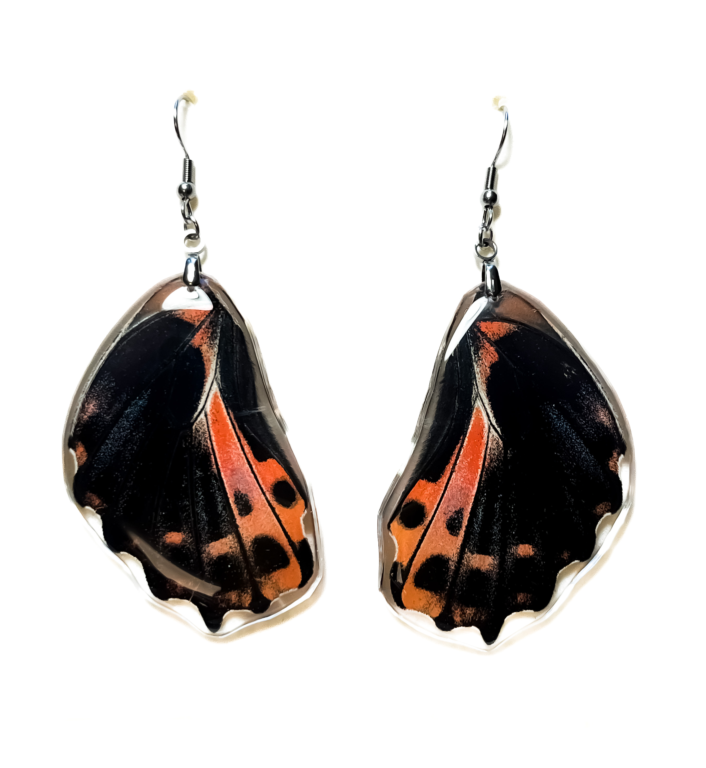 Náušnice z křídla motýla Papilio rumanzoviaNo. 1429