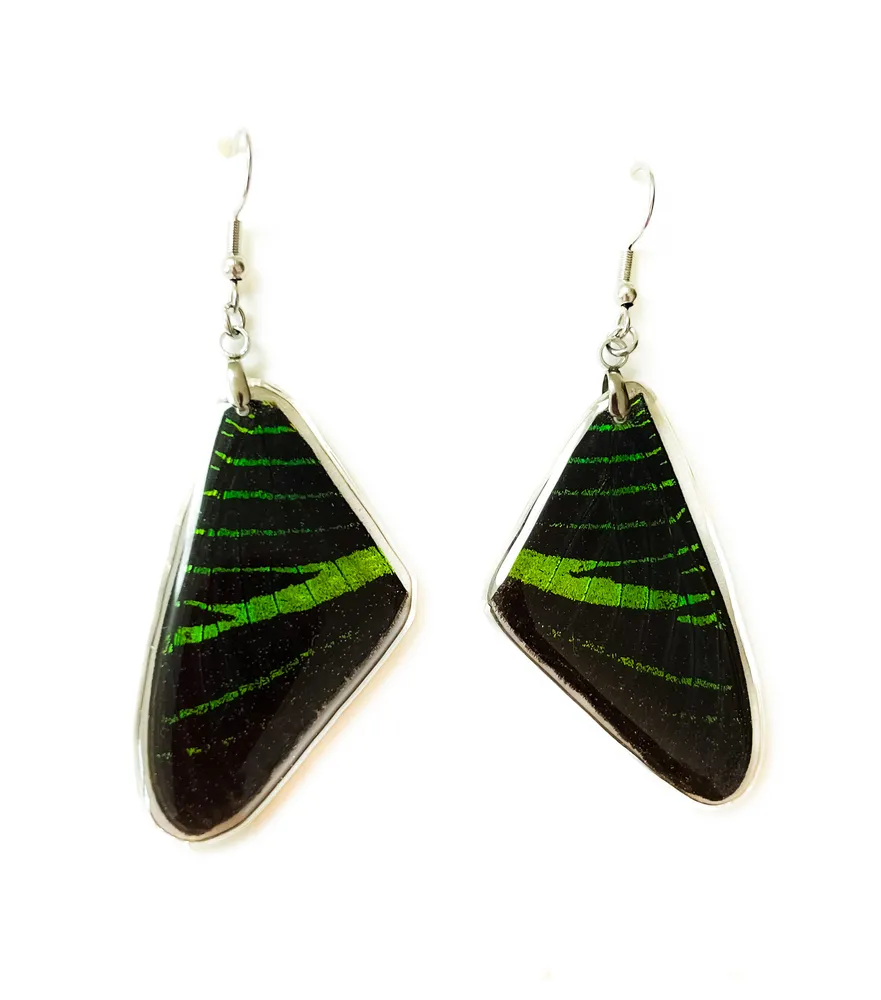 Náušnice z křídel motýla Urania leilus No. 1434