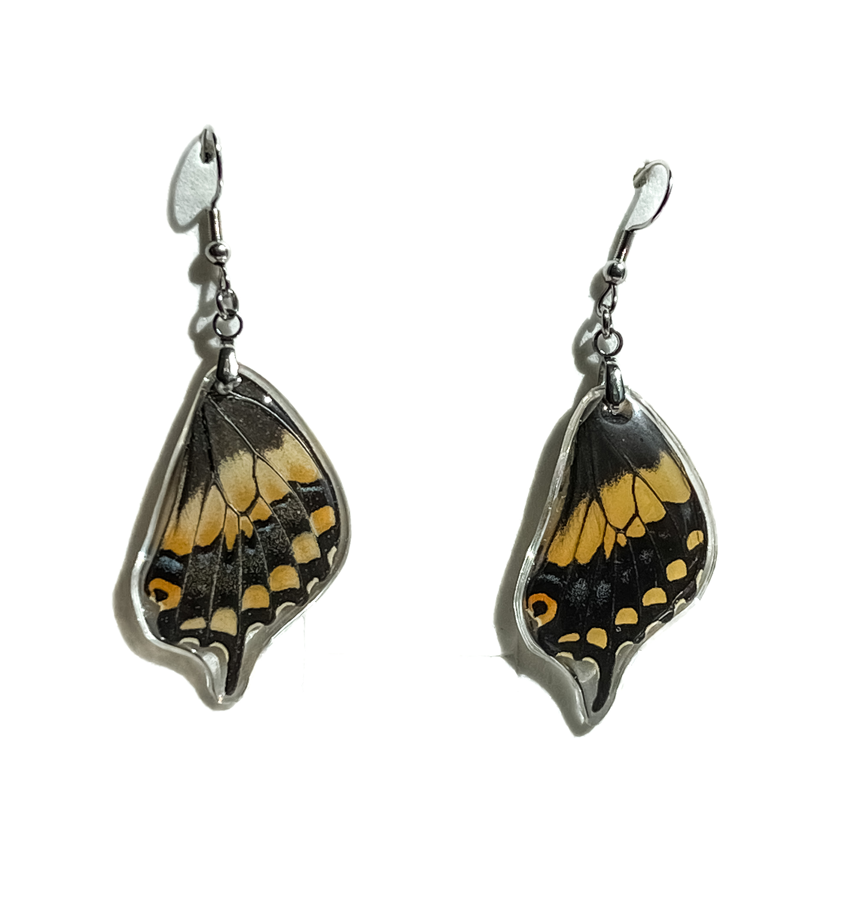 Náušnice z křídla motýla Papilio hellanichus No. 1435