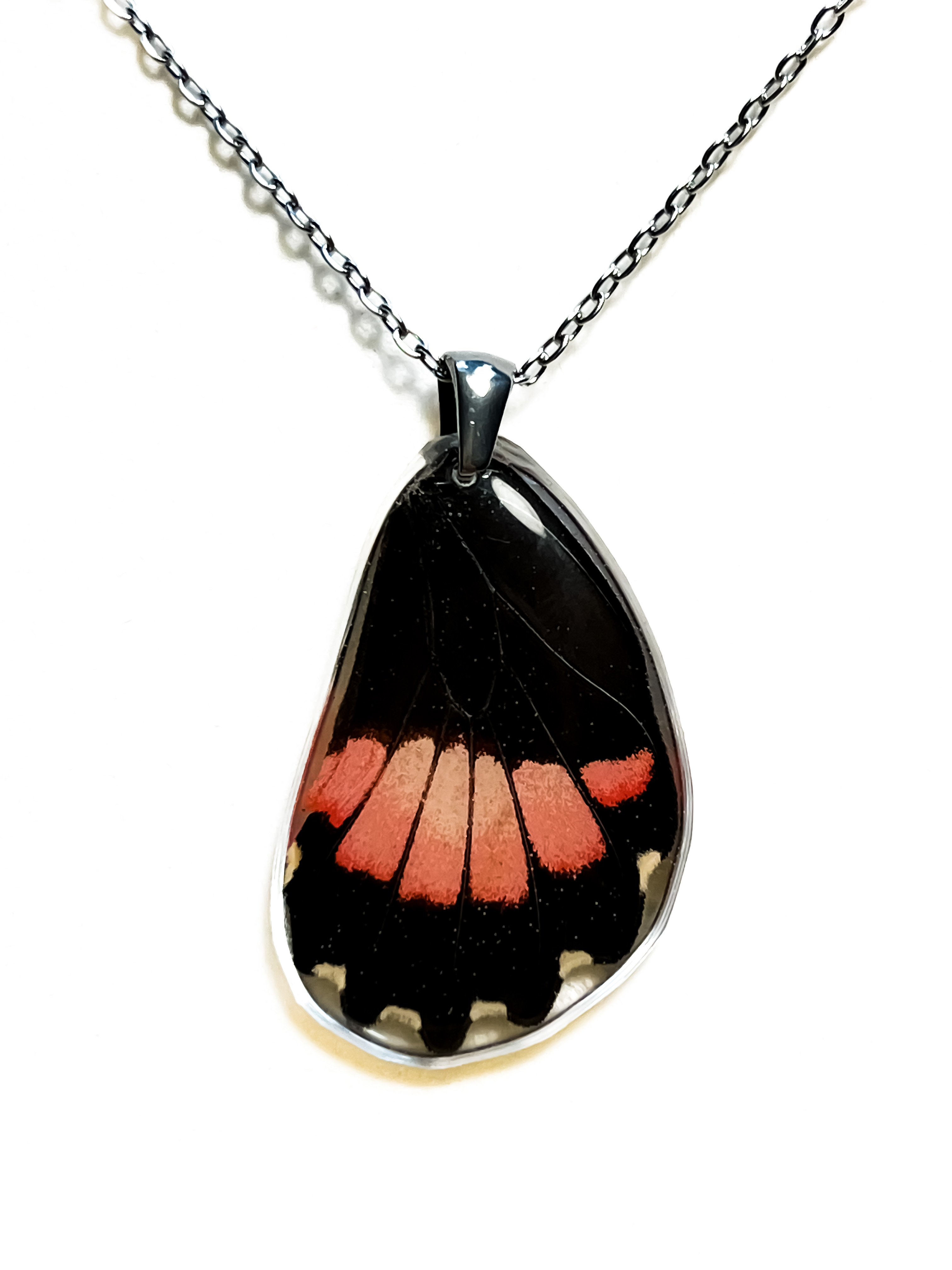 Přívěsek z křídla motýla Parides lysander No. 1295