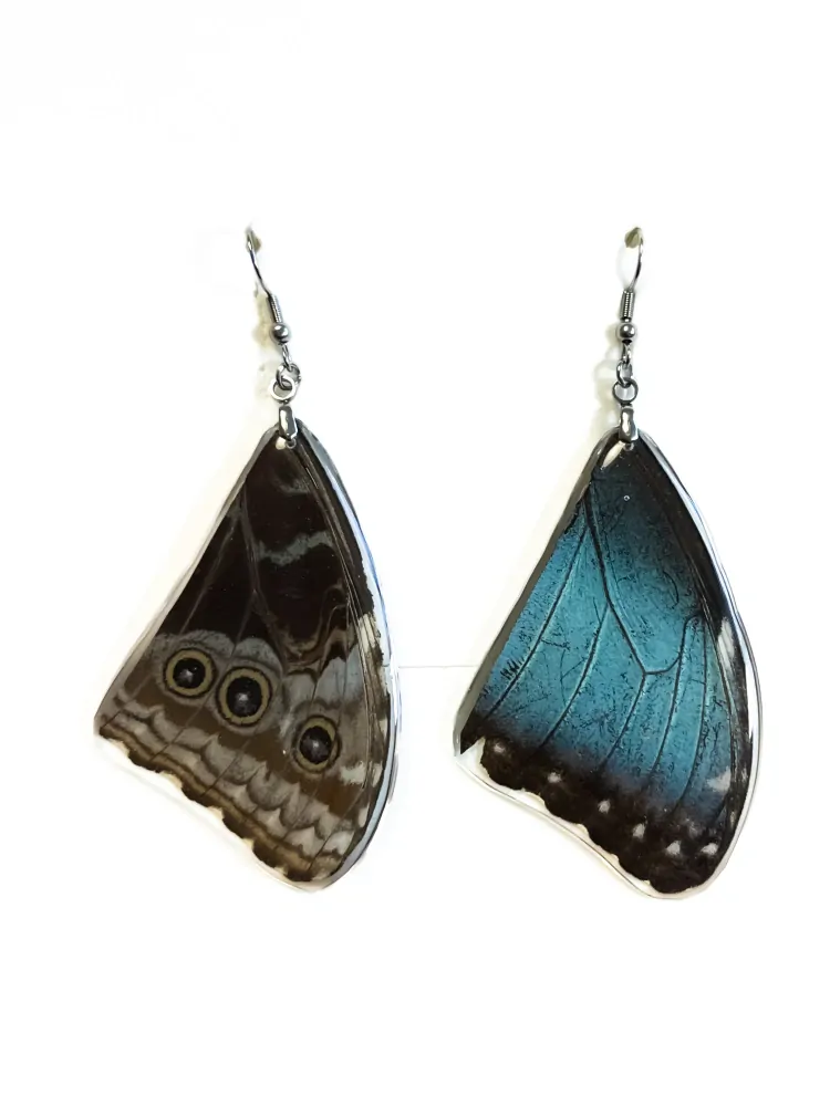 Náušnice z křídla motýla Morpho peleides   No. 1468