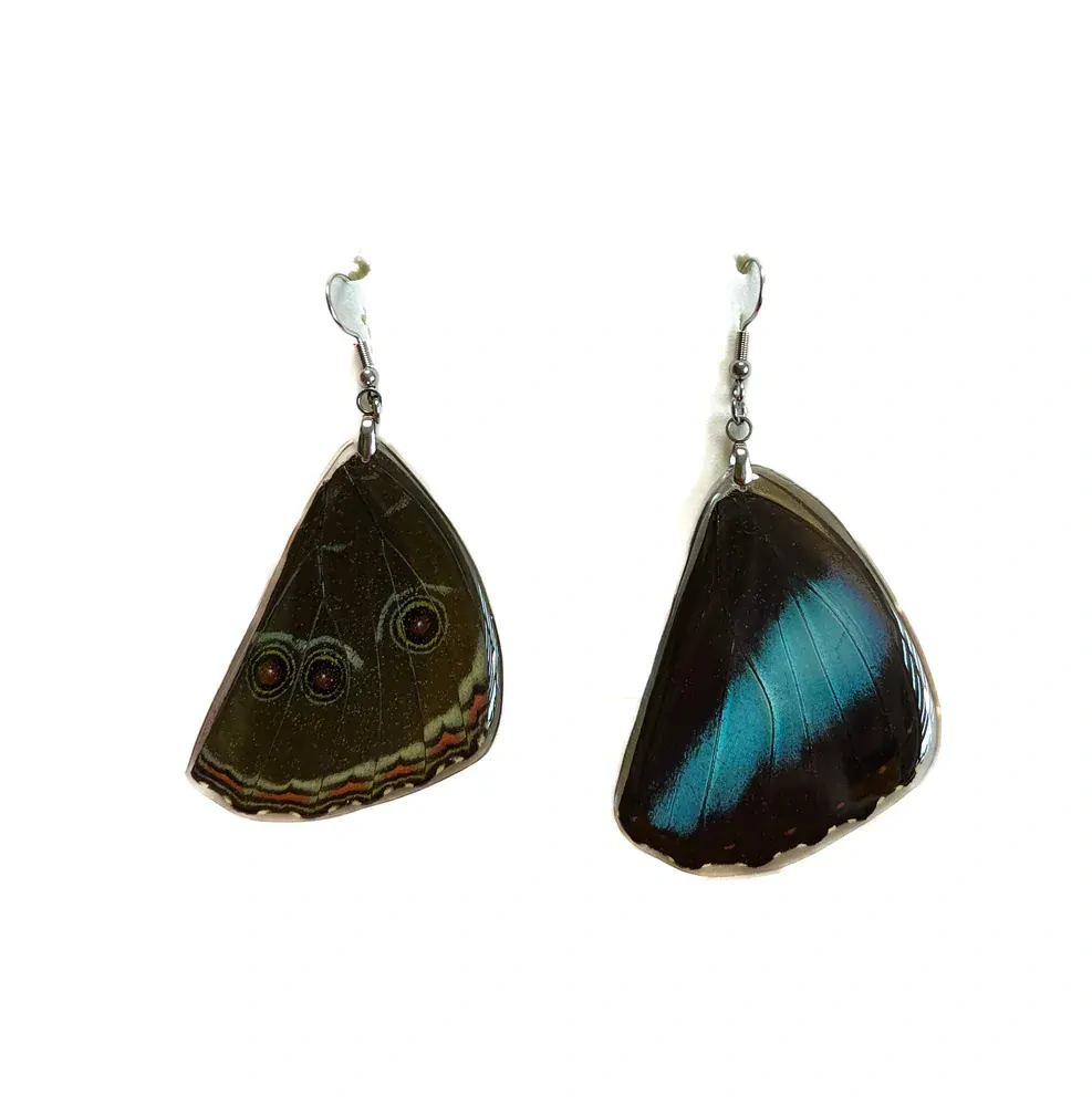 Náušnice z křídla motýla Morpho helenor. No. 1401
