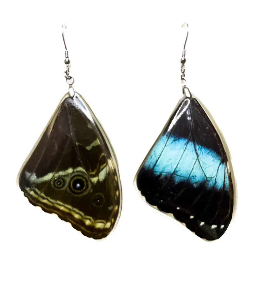 Náušnice z křídla motýla Morpho helenor No. 1413