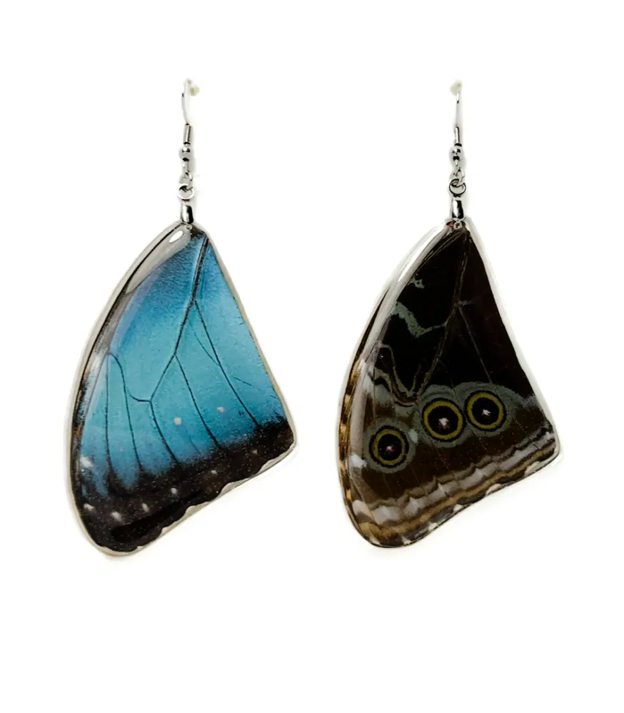 Náušnice z křídla motýla Morpho peleides No. 1486