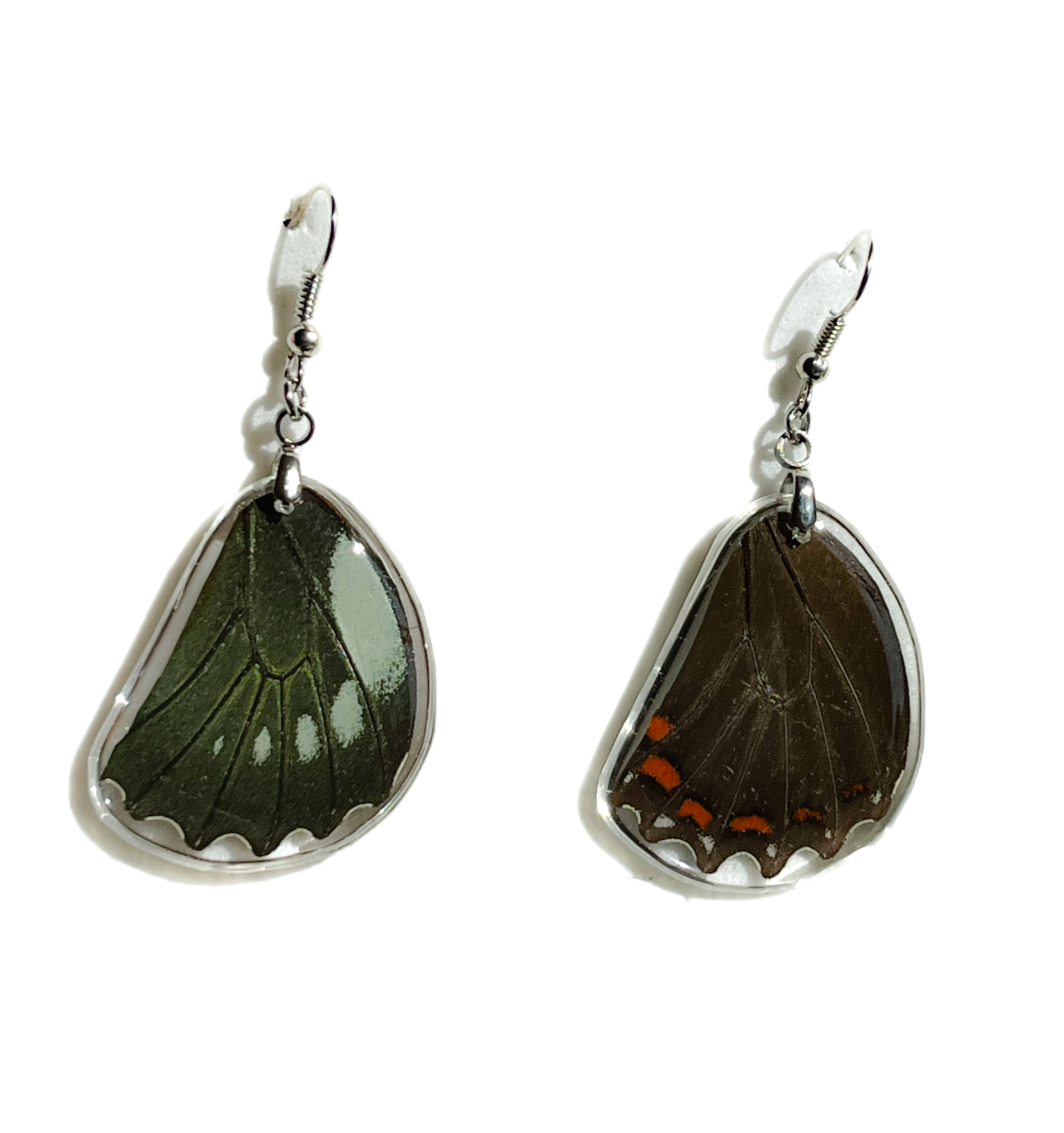 Náušnice z křídla motýla Battus chalceus  No. 1490