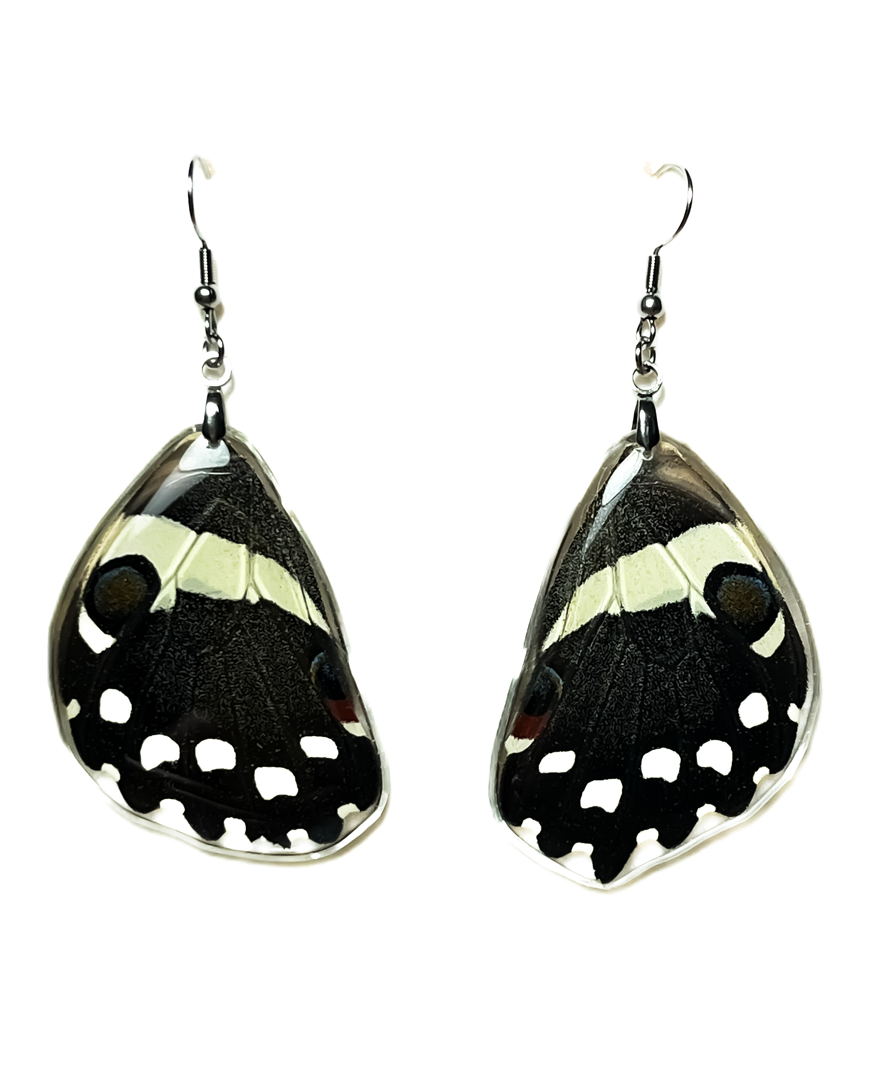 Náušnice z křídla motýla Papilio demoleus. No. 1491