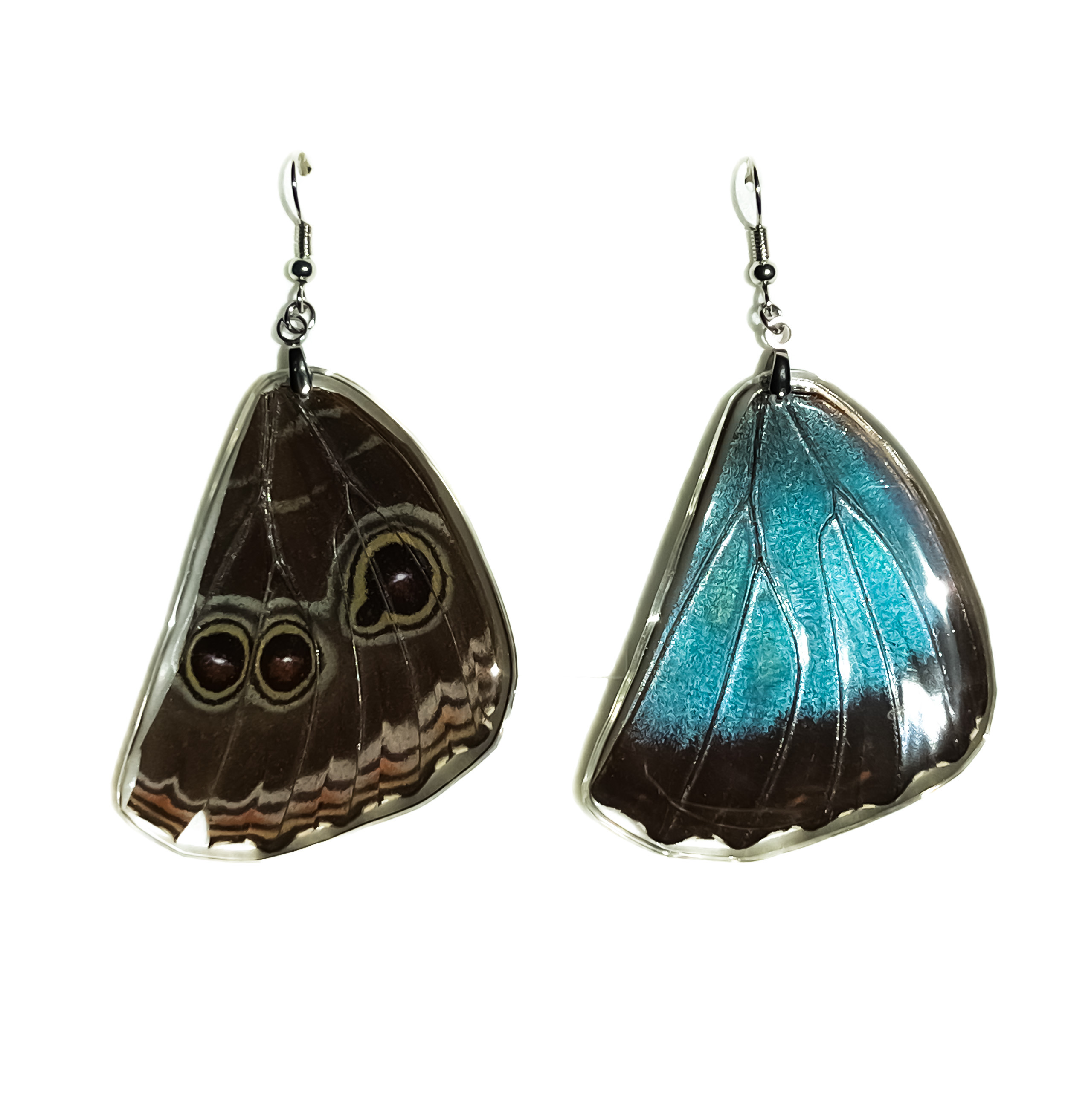 Náušnice z křídla motýla Morpho peleides No. 1494