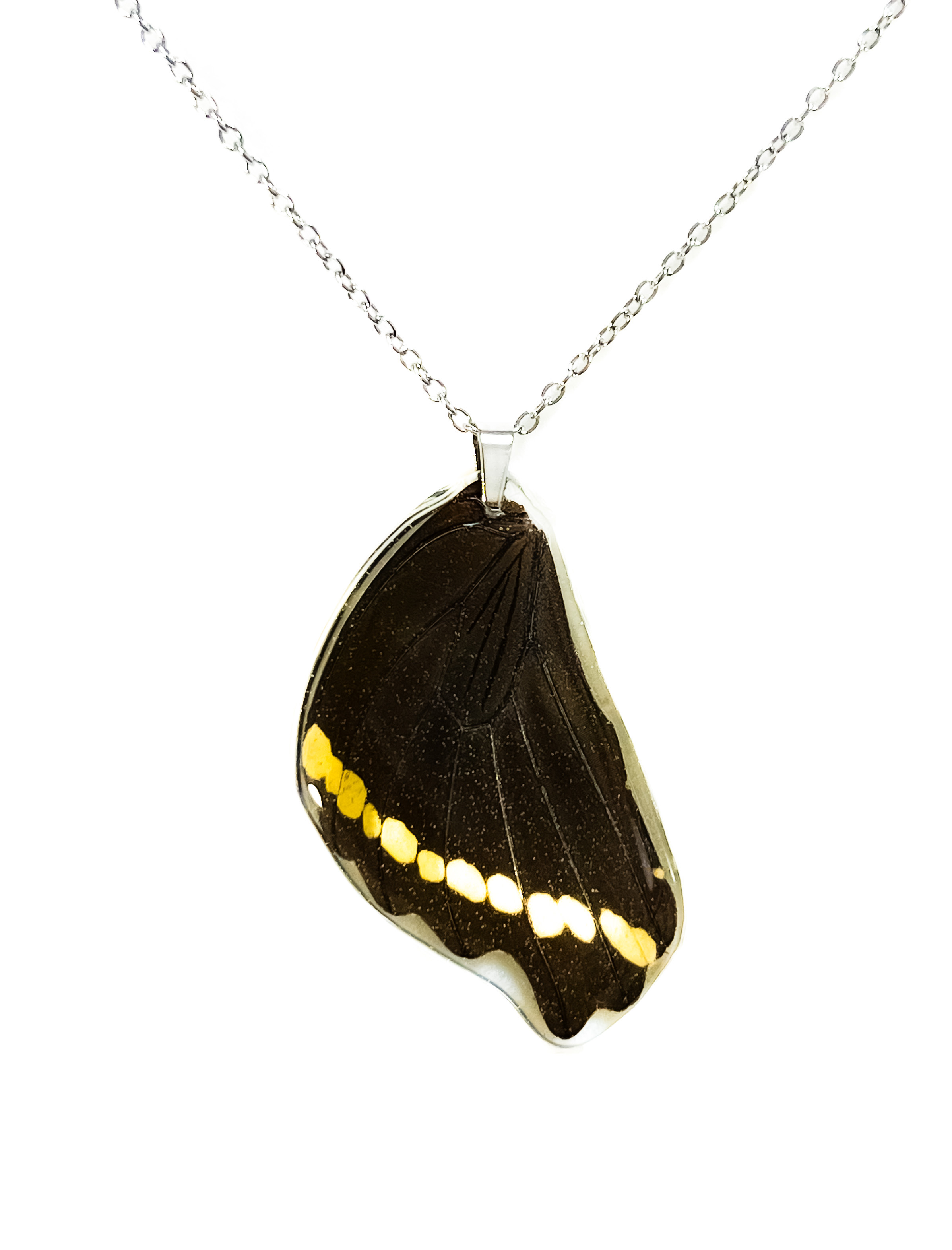 Přívěsek z křídla motýla Papilio nireus No. 2865