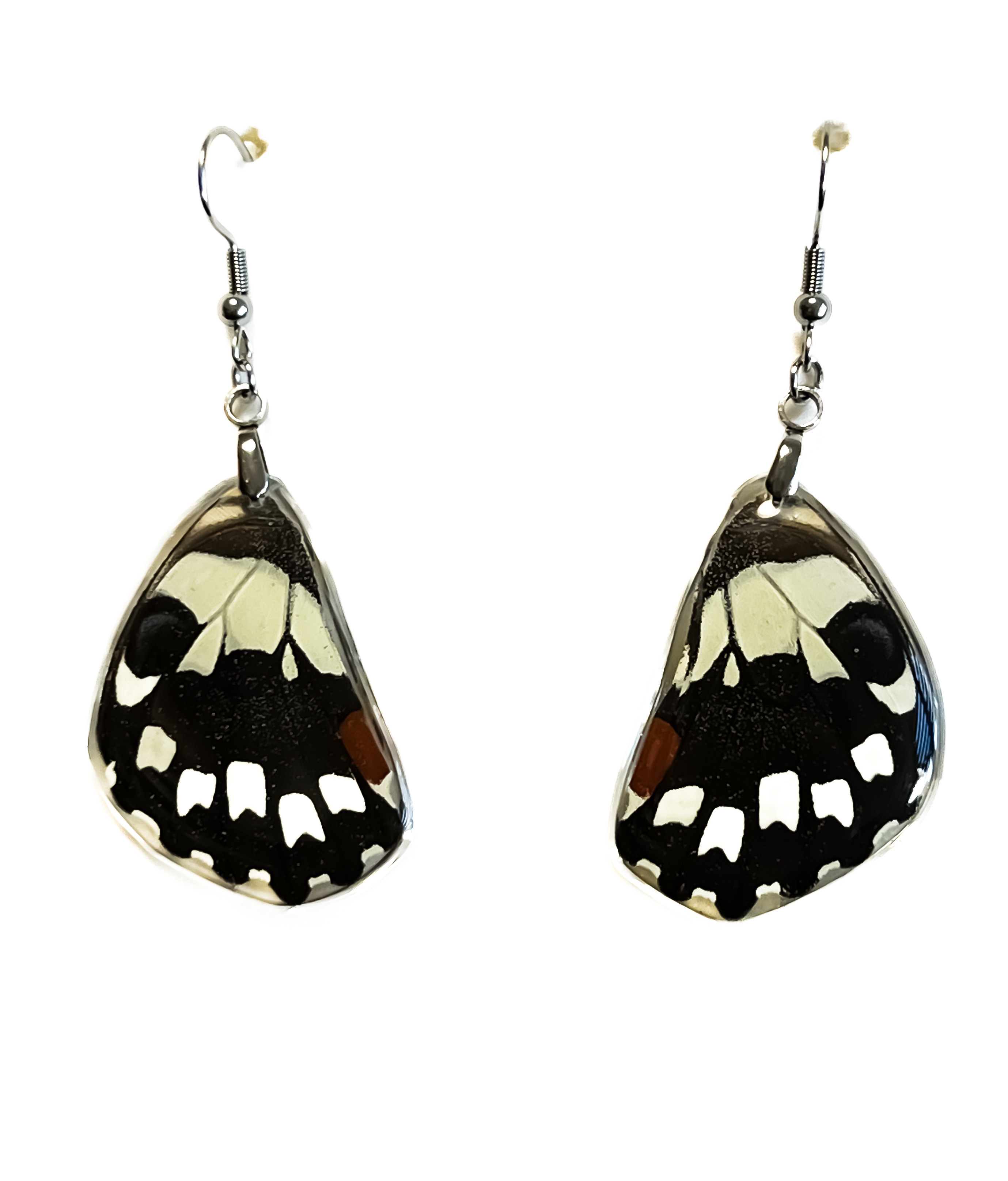 Náušnice z křídla motýla Papilio demoleus. No. 2041