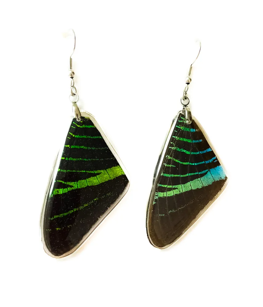 Náušnice z křídel motýla Urania leilus No. 1434