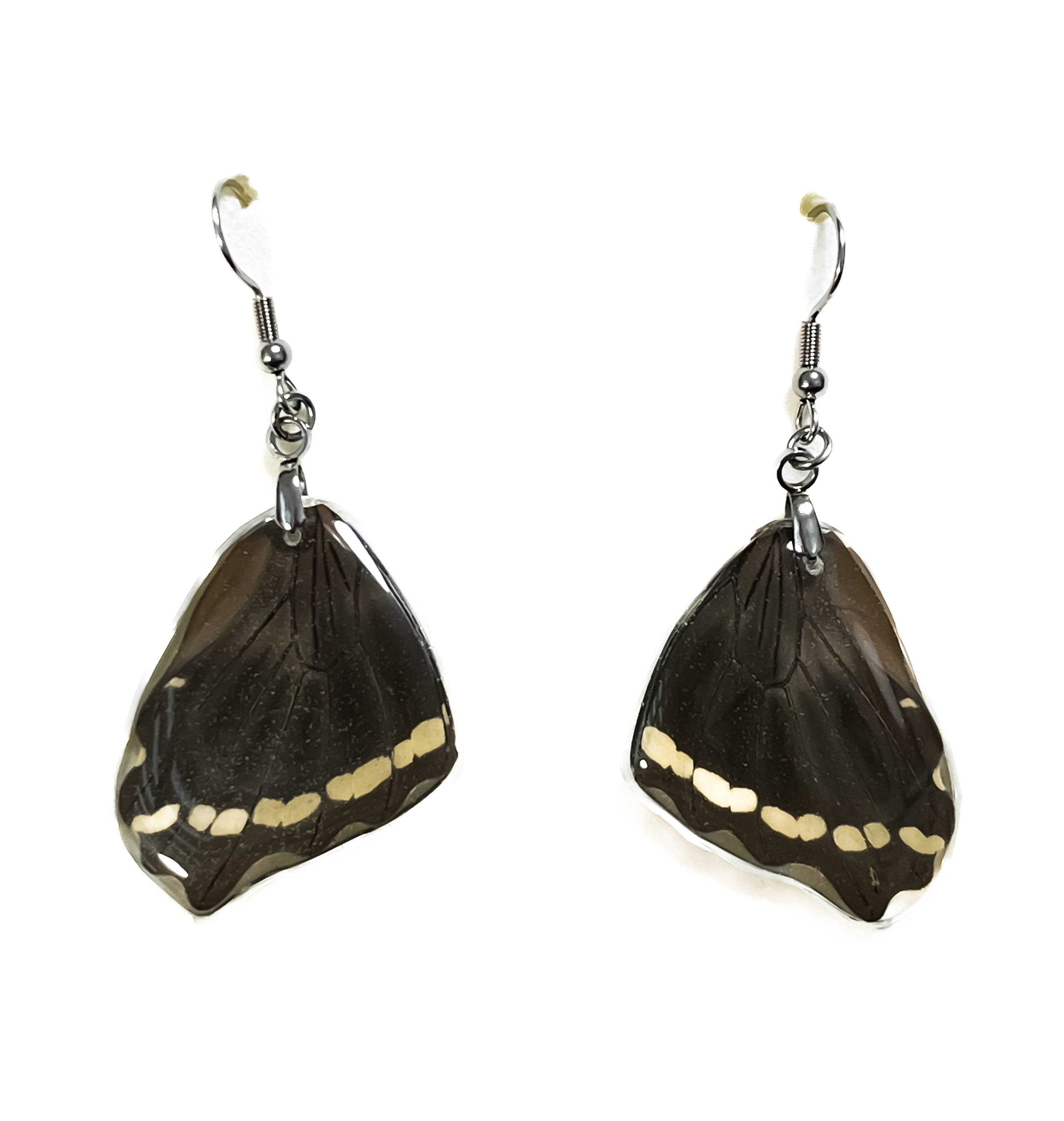Náušnice z křídla motýla Papilio nireus No. 1415