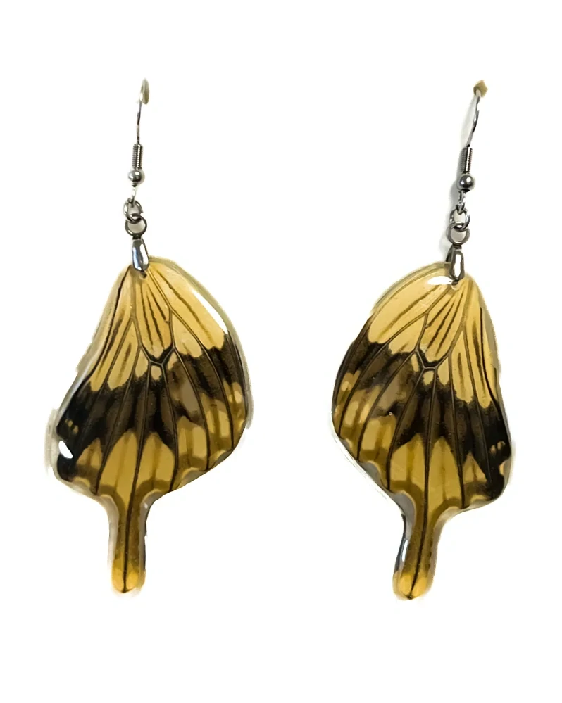 Náušnice z křídla motýla Papilio dardanus No. 2017