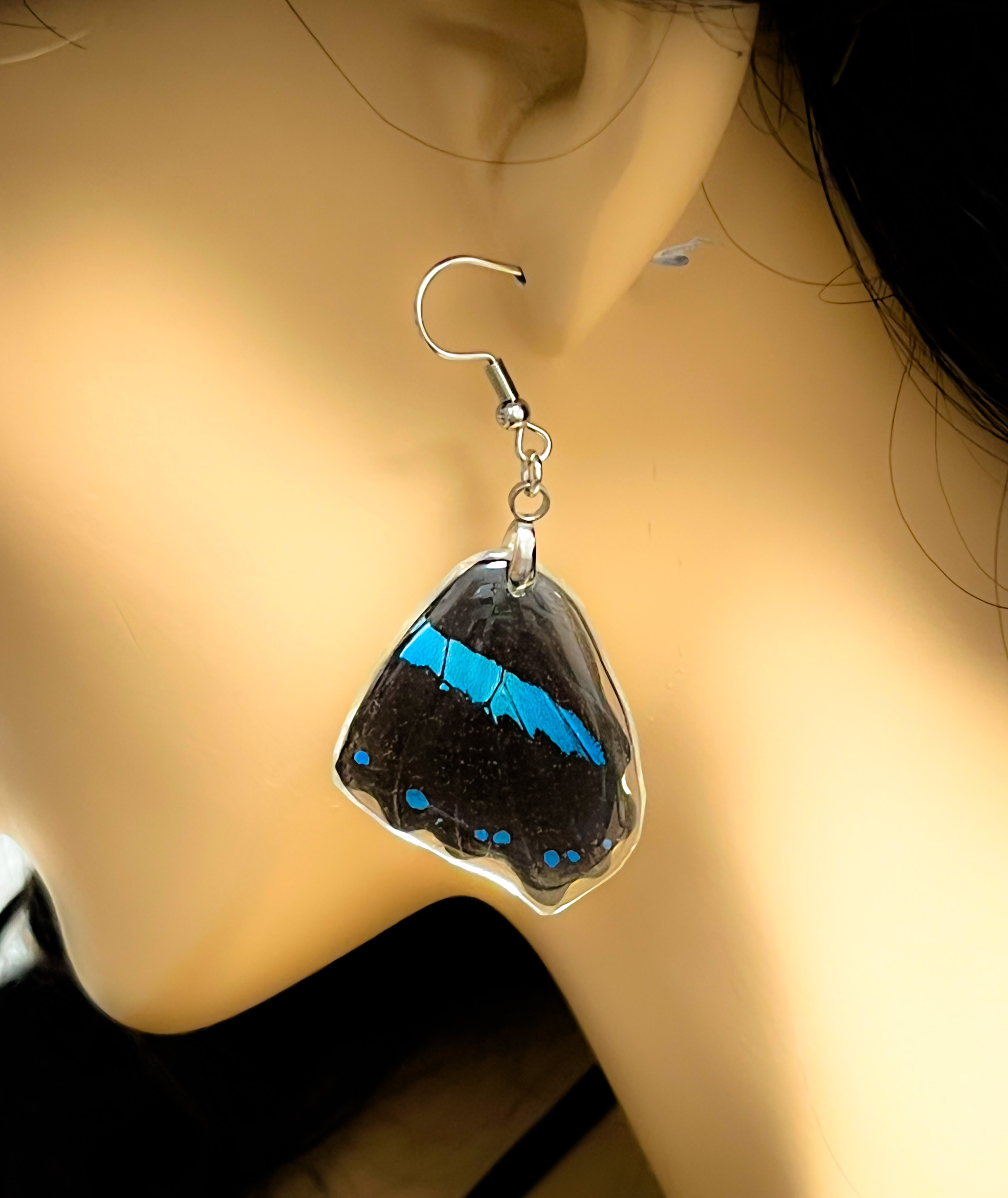 Náušnice z křídla motýla Papilio nireus No. 1415
