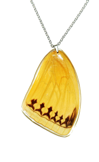 Přívěsek z křídla motýla Stichophthalma neumogeni No. 1276