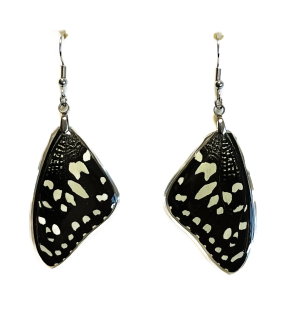 Náušnice z křídla motýla Papilio demoleus No. 1430