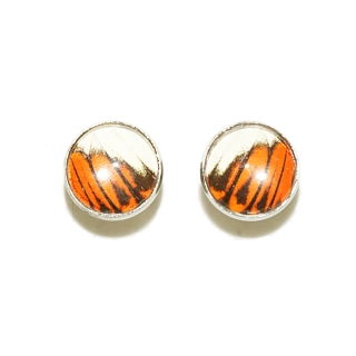 Manžetové knoflíky z křídla motýla Hebomoia glaucippe   No. 1708