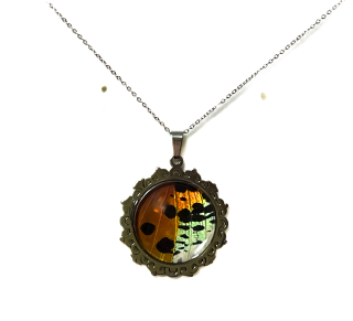 Přívěsek z křídla  motýla Urania rhipheus   No. 2758