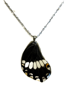 Přívěsek z křídla motýla Papilio polytes  No. 1264