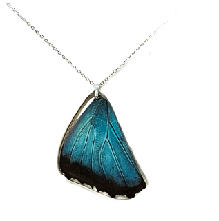 Přívěsek z křídla motýla  Morpho peleides  No. 2863