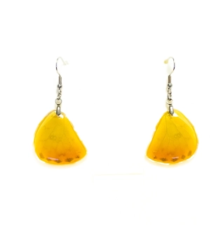 Náušnice z křídla motýla Catopsilia pomona No. 1416