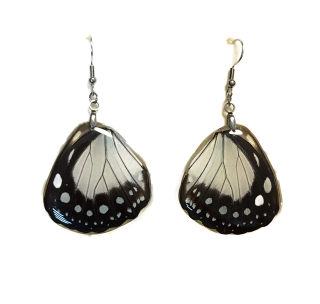 Náušnice z křídla motýla No. 2012