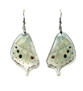 Náušnice z křídla motýla Protogoniomorpha parhassus No. 2053